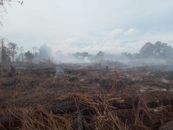 1494b2de-f0cf-4893-991f-ce36afc70b0f