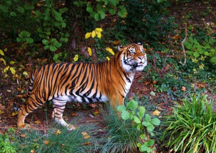 WhatsApp Image 2019-08-16 at 17.26.16