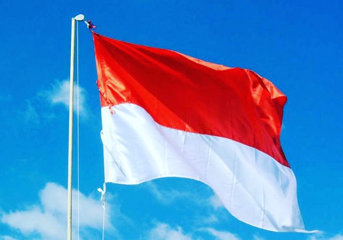 WhatsApp Image 2019-08-17 at 15.32.05