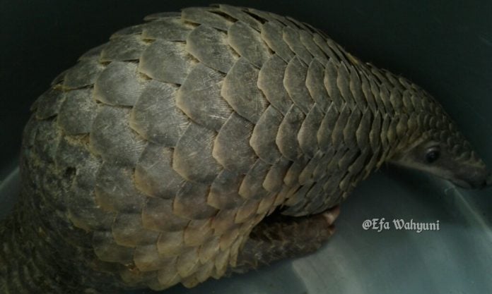 ff43b90f-5e58-44b5-b05a-a3aba0b427de