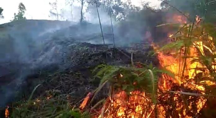 636b20e3-59b0-4f57-b53b-37812d11a782