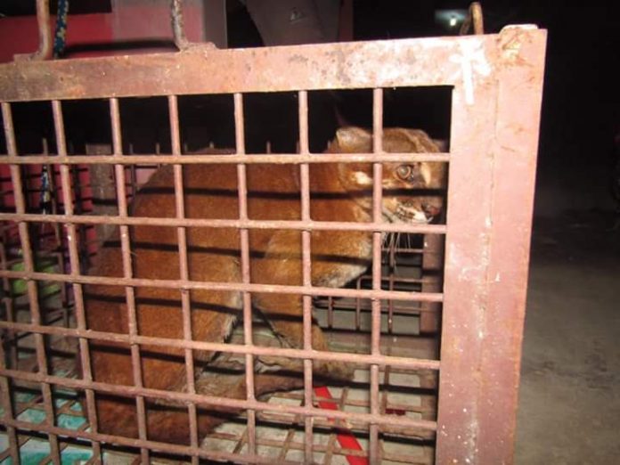 6dbbcc13-60f9-407c-9d5d-ae7bc6c28a2d