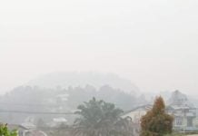 Selain Aceh Selatan, Abdya Juga Diselimuti Kabut Asap