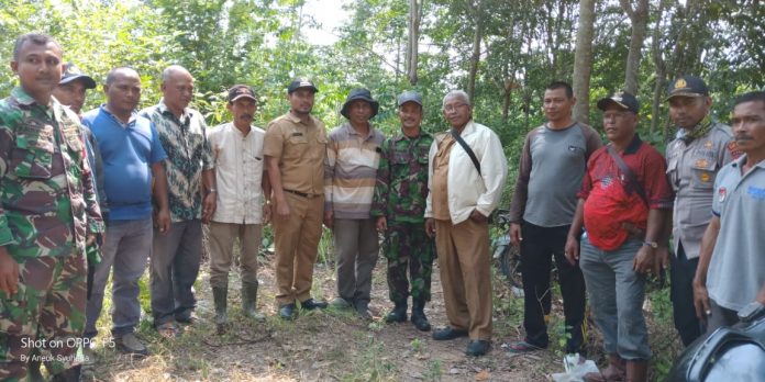 WhatsApp Image 2019-09-17 at 16.07.12(1)