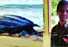 Katung Belimbing Pang Jaba