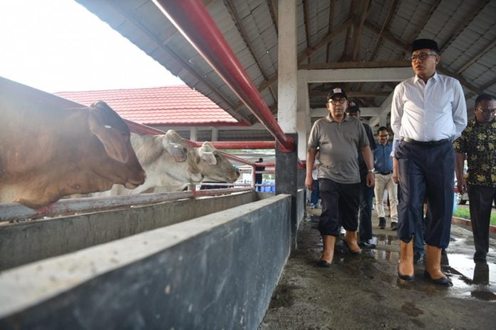 98990abc-9221-4935-bfcc-af3940b56fcb