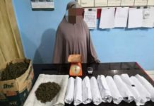 IRT di Abdya Ditangkap Polisi, Ganja Satu Kardus Disita