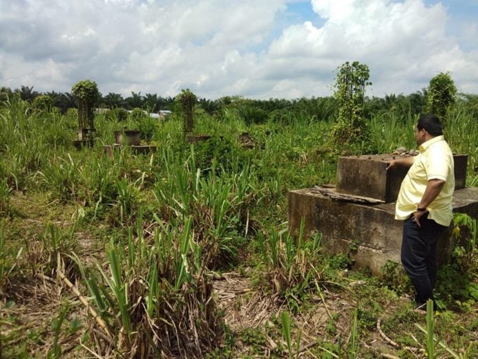 75210181_1189408897936977_8140752438144532480_n