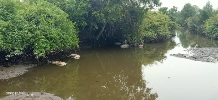 9c71ce2d-a221-476d-9f7f-c265d1815575