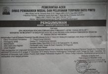 PLTA Kluet-1, Bung Jun: Pembangunan Tidak Objektif dan Jumlah TKA Tak Dilaporkan