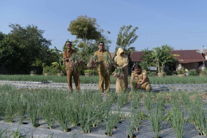 213c0083-8dc6-4423-b7eb-5bdf77bfc93f