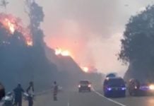 Kebakaran Lahan, Lintas Aceh Jaya-Meulaboh Diselimuti Kabut Asap