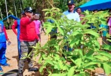 Jaga Ekosistem Danau Laot Bhee, Bupati Aceh Jaya Bersama Pokdarwis Tanam 1000 Pohon