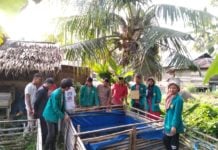 Tingkatkan Ekonomi Masyarakat, Mahasiswa KKN AT-013 Unsyiah Buat Program Budidaya Lele