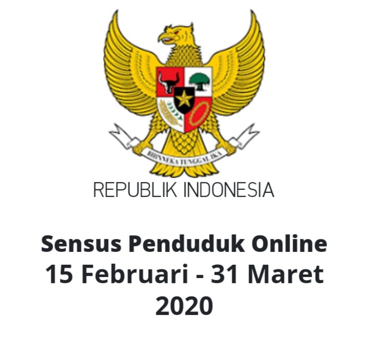 Sensus Penduduk 2020 Online Sudah Dibuka, Berikut Cara Daftarnya | Analisa  Aceh
