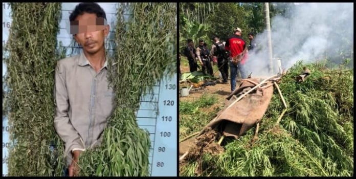 WhatsApp Image 2020-02-14 at 22.48.52