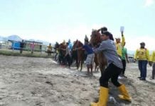 Shabela Tegaskan Pacuan Kuda Tradisional Gayo Bebas dari Judi