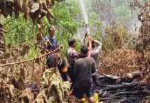 5 Hektare Lahan Perkebunan Dilalap Api di Subulussalam