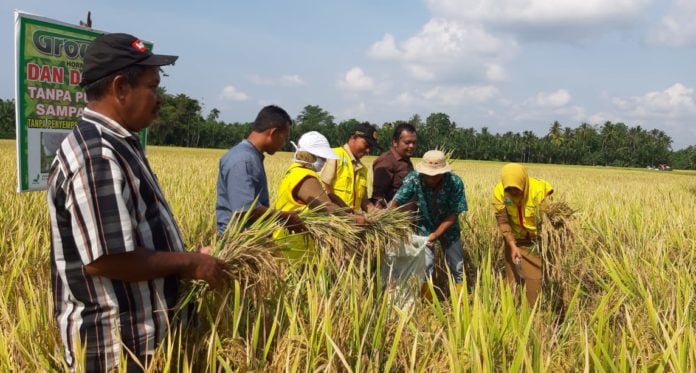 WhatsApp Image 2020-03-09 at 19.14.47