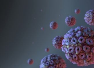 Hewan Ini Tulari Covid ke Manusia, WHO Buru-Buru Gerak Cepat!