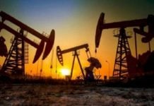 Harga Minyak Dunia Anjlok, Sentuh US$ 15 per Barel