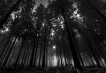 Berburu ke Hutan, Seorang Pemuda di Bener Meriah Dilaporkan Hilang