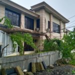 Angin Kencang, Pohon Tumbang di Badan Jalan di Sejumlah Lokasi di Aceh Besar