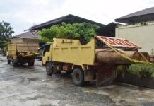 Tujuh Pelaku Illegal Logging Ditangkap di Nagan Raya