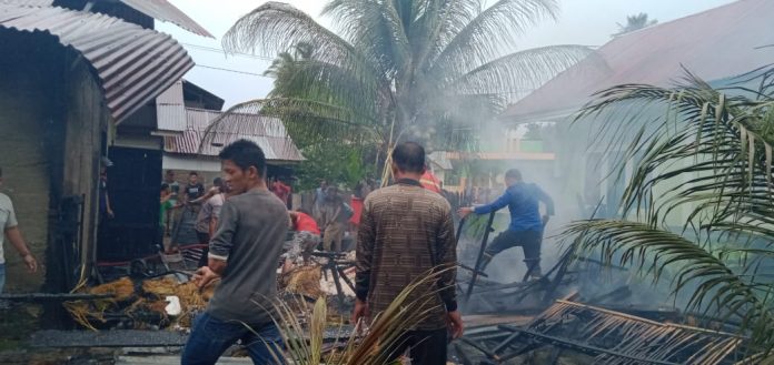 WhatsApp Image 2020-05-07 at 12.53.31