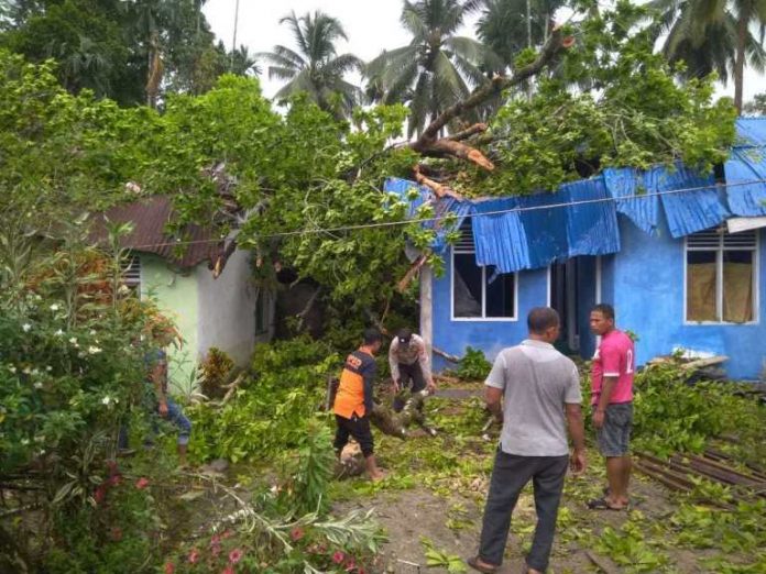 WhatsApp Image 2020-05-08 at 16.04.24