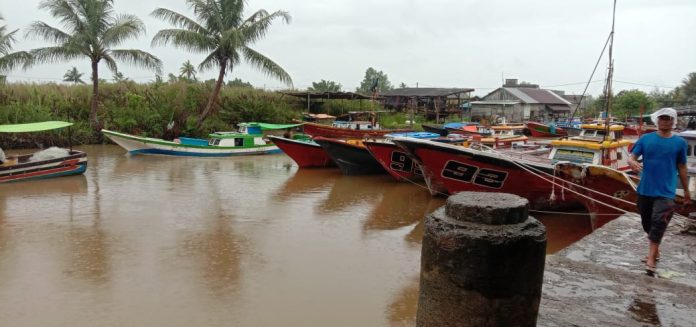 WhatsApp Image 2020-05-08 at 18.11.27