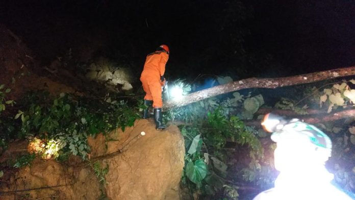 WhatsApp Image 2020-05-09 at 02.11.36