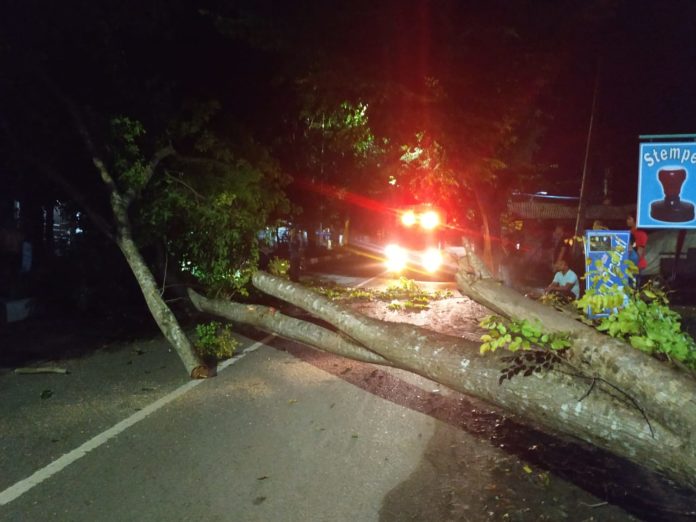 WhatsApp Image 2020-05-16 at 05.00.42