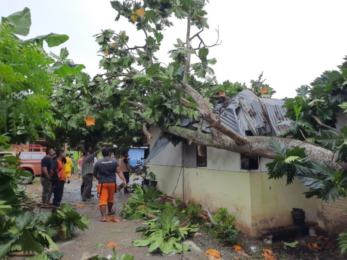 WhatsApp Image 2020-05-17 at 15.16.17