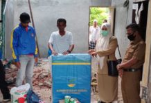 Akibat Angin Kencang, Pohon Kelapa Tumbang Menimpa Rumah Warga di Meureudu