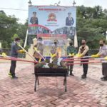 Polres Nagan Raya Musnahkan 26,8 Kg Ganja Hasil Sitaan