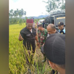 Beri Perhatian Serius Kepada Petani, Abusyik Pantau Hasil Penyemprotan Pupuk Alam Organik Abusyik Pantau Hasil Penyemprotan Pupuk Alam Organik