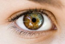 Mengenal Heterochromia, Kelainan yang Bikin Warna Mata Jadi Beda