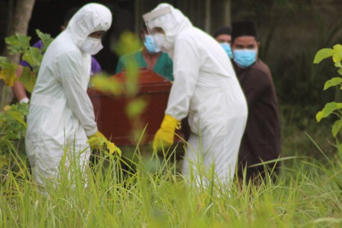 WhatsApp Image 2020-06-18 at 11.05.08