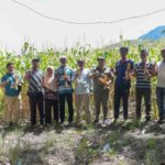 Petani Jagung Gampong Teuladan, Jatuh Bangun dan Bangkit Berkat Bantuan Pemerintah