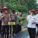 Bangun Ketahanan Pangan, Bupati Pijay Ajak Masyarakat Manfaatkan Perkarangan Untuk Holtikultura