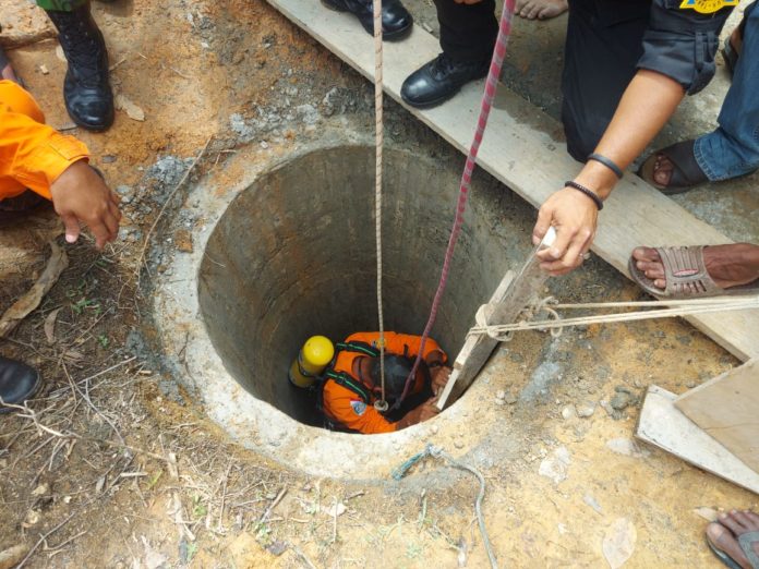 93cc1e81-4c80-4798-b77f-0df5a49d55f7