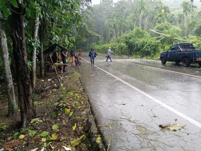 9d8e634a-d78b-4b08-b091-522fb10b00dc