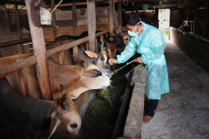 WhatsApp Image 2020-07-24 at 19.47.59 (1)