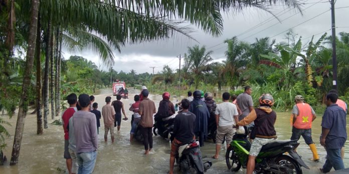 WhatsApp Image 2020-07-28 at 10.13.25