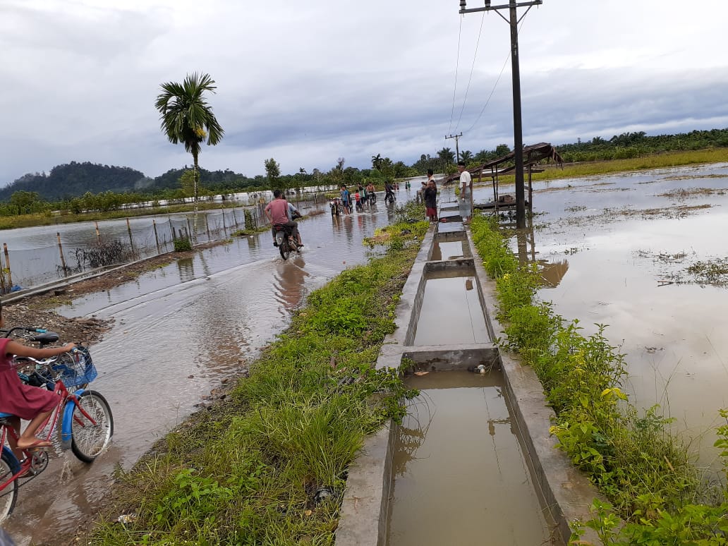 Empat Kecamatan Di Aceh Selatan Terendam Banjir | Analisa Aceh