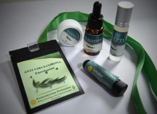 Kementan Tegaskan Kalung Eucalyptus Bukan Antivirus Corona, Tapi Jamu