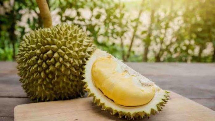 5 Manfaat Buah Durian yang Jarang Diketahui | Analisa Aceh