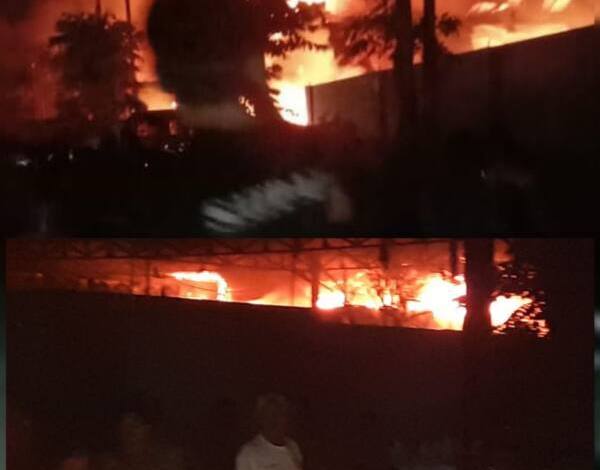 65b28277-f125-4c98-9b25-b4d45aef3f62