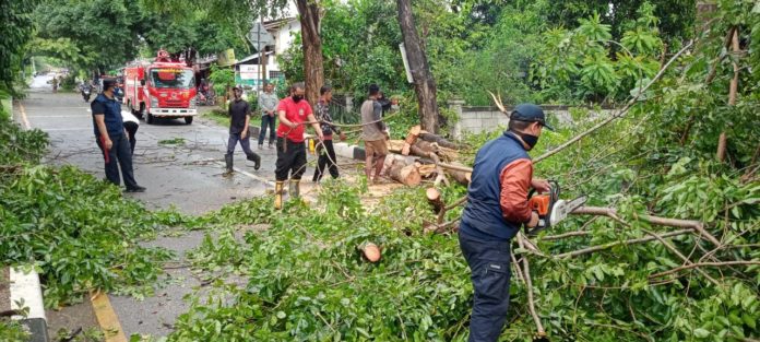 3c71ceac-50a3-4c4c-bc5b-7631eee07ee4